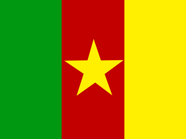 How to buy 4NEW in Cameroon - 2024